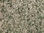 b6